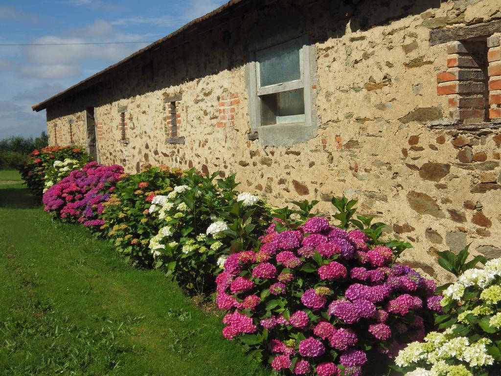 Bed and Breakfast A La Haute Bouillere Chavagnes-les-Redoux Экстерьер фото