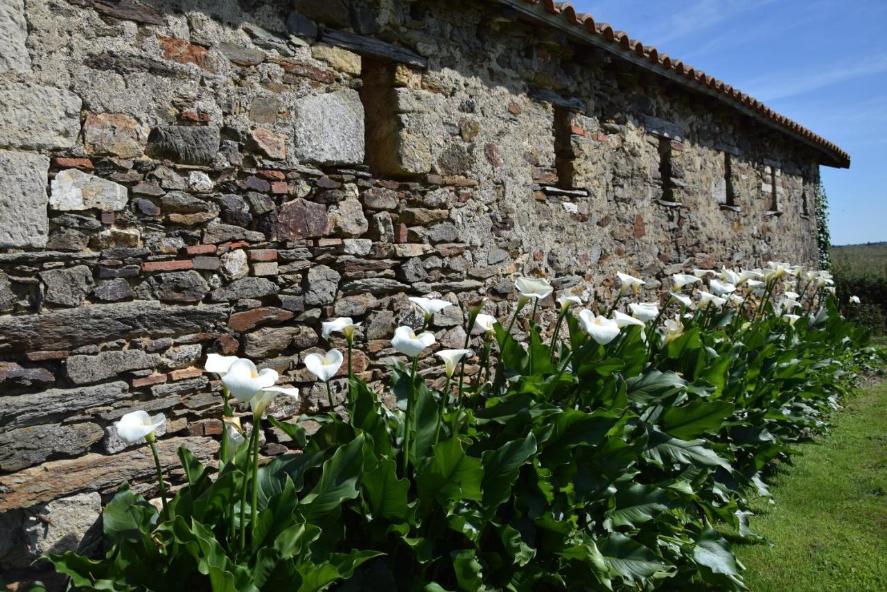 Bed and Breakfast A La Haute Bouillere Chavagnes-les-Redoux Экстерьер фото